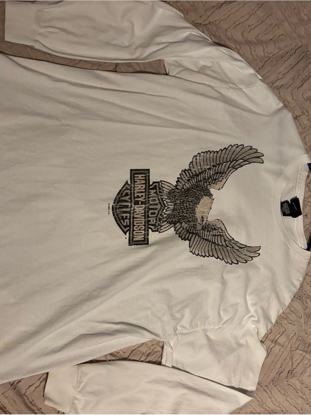 Harley-Davidson White Long-Sleeve Shirt with Eagle Graphic